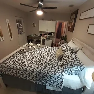 Luxurious Cozy Studio. Tampa