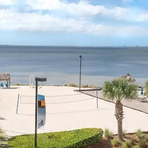 311-wifi And Electric-amazing Views Tampa